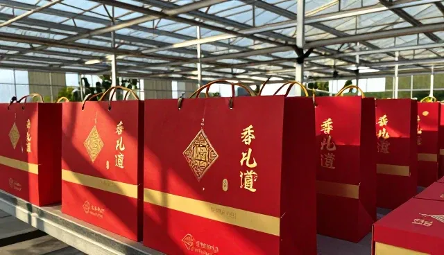 库存优化中理解偏差如何影响响应较为
